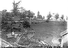 Strawberry Acres2